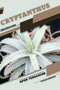 Cryptanthus