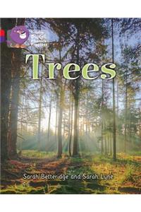 Trees