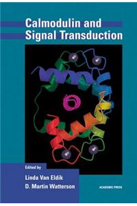 Calmodulin and Signal Transduction