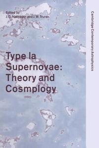 Type Ia Supernovae