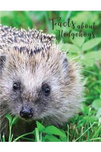 Facts About Hedgehogs