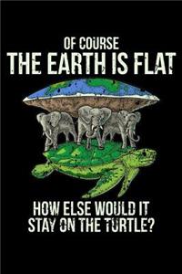 Of Course The Earth is Flat How Else Would It Stay On The Turtle