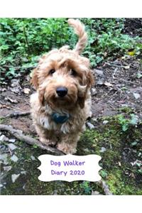 Dog Walker Diary 2020