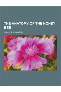 The Anatomy of the Honey Bee
