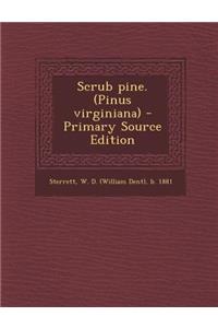 Scrub Pine. (Pinus Virginiana)