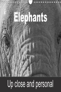 Elephants Up Close and Personal 2017