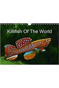 Killifish of the World 2018
