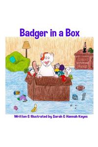 Badger in a Box