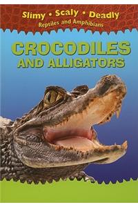 Crocodiles and Alligators