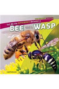 Tell Me the Difference Between a Bee and a Wasp