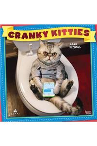 Avanti Cranky Kitties 2019 Square Foil
