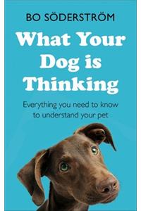 What Your Dog Is Thinking