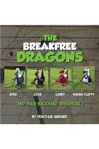 Breakfree Dragons