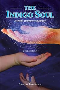 Indigo Soul: a child's journey to purpose