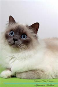 Birman Cat Affirmations Workbook Birman Cat Presents