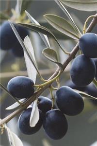 The Olive Branch Journal