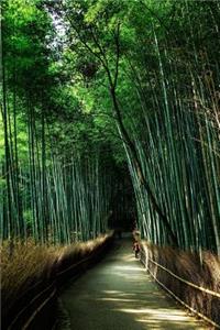 Bamboo Trees Lining a Path in Kyoto Japan Journal