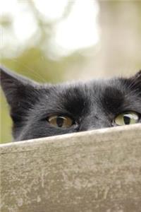 Cat Peeping over the Fence Journal