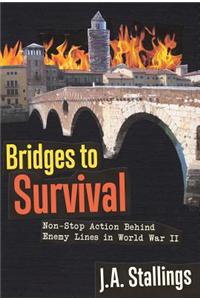 Bridges to Survival