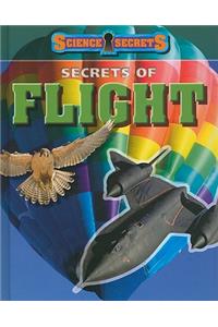 Secrets of Flight