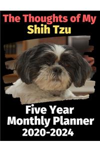 The Thoughts of My Shih Tzu