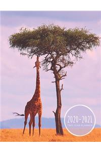 Two Year Planner 2020-2021