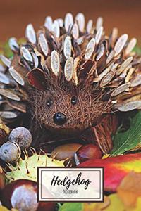 Hedgehog Notebook