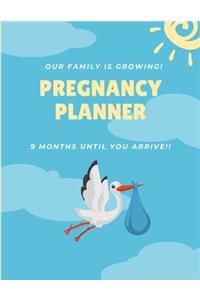 Pregnancy Journal