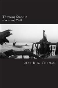 Throwing Stone in a Wishing Well