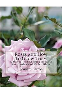 Roses and How To Grow Them