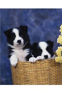 School Composition Book Two Puppies Basket Dog Photo 200 Pages