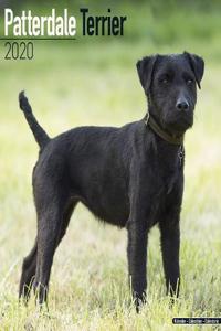 Patterdale Terrier Calendar 2020
