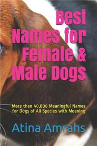 Best Names for Female & Male Dogs