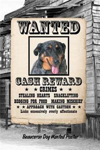 Beauceron Dog Wanted Poster
