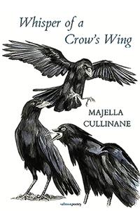 Whisper of a Crow's Wing