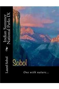 Indian Summer National Parks IX