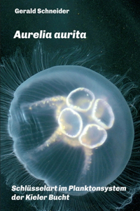 Aurelia aurita