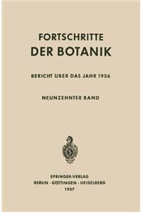Bericht Uber das Jahr 1956