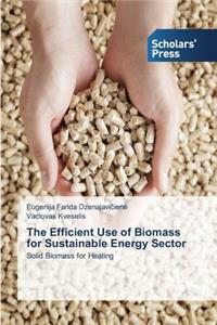 Efficient Use of Biomass for Sustainable Energy Sector