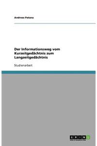 Der Informationsweg vom Kurzeitgedächtnis zum Langzeitgedächtnis