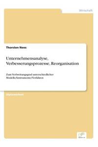 Unternehmensanalyse, Verbesserungsprozesse, Reorganisation