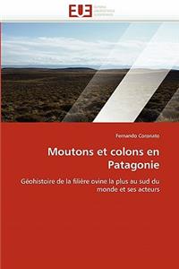 Moutons et colons en patagonie