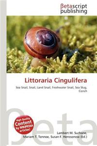 Littoraria Cingulifera