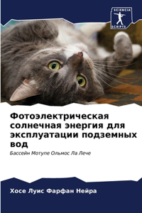 Фотоэлектрическая солнечная энергия для