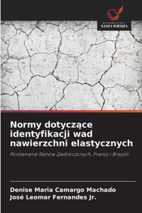 Normy dotyczące identyfikacji wad nawierzchni elastycznych
