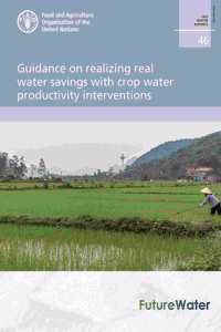 Guidance on realizing real water savings with crop water productivity interventions