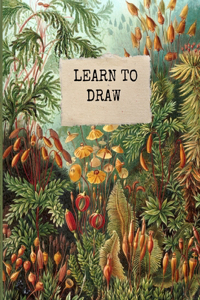 learn to draw