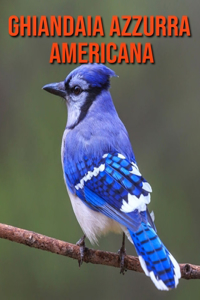Ghiandaia azzurra americana