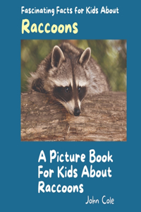 Picture Book for Kids About Raccoons