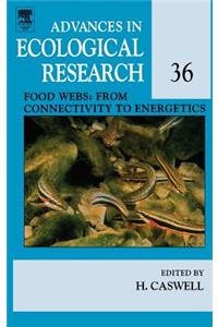 Food Webs: From Connectivity to Energetics